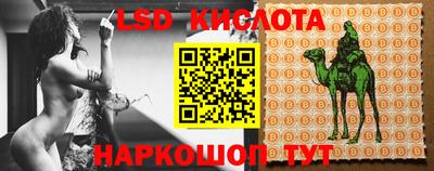 шишки Рыбинск