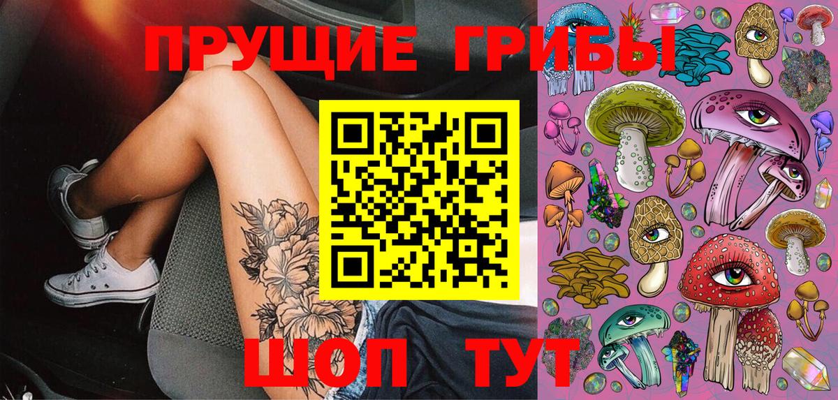 Псилоцибиновые грибы прущие грибы Осинники